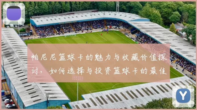 帕尼尼篮球卡的魅力与收藏价值探讨，如何选择与投资篮球卡的最佳策略