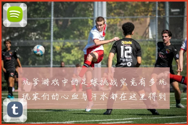 坑爹游戏中的足球挑战究竟有多坑玩家们的心血与汗水都在这里得到了怎样的体现