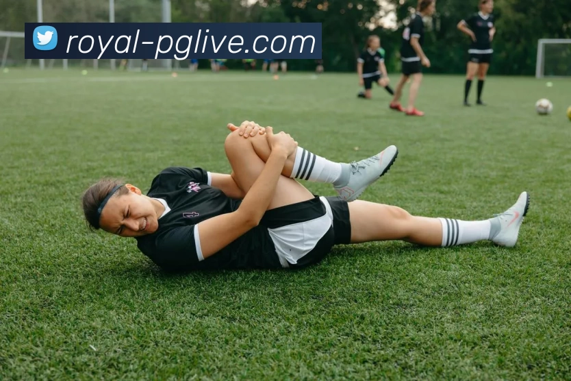 多媒体互动体验