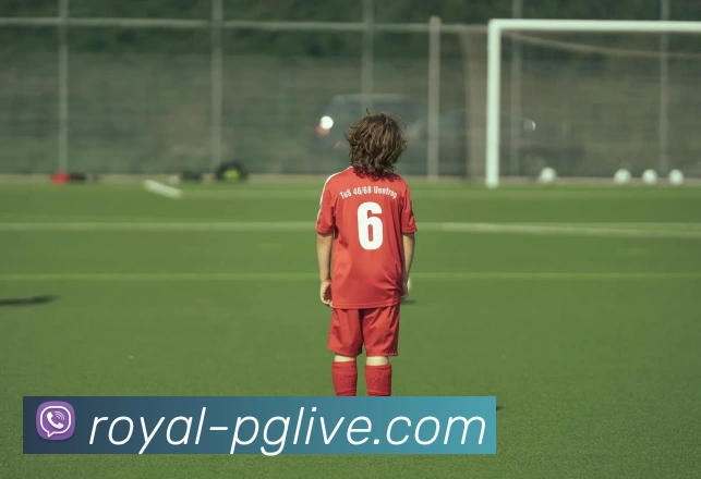 PG电子在线试玩APP 体育赛事宣传图